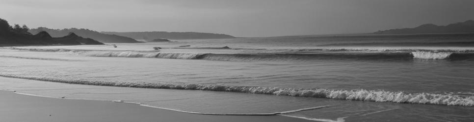 Central Dunedin beaches - Localista