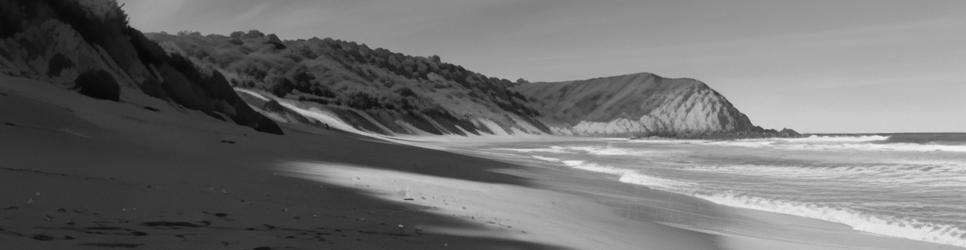 Sandymount beaches - Localista