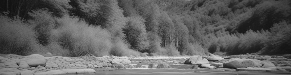 Karangahake gorges - Localista