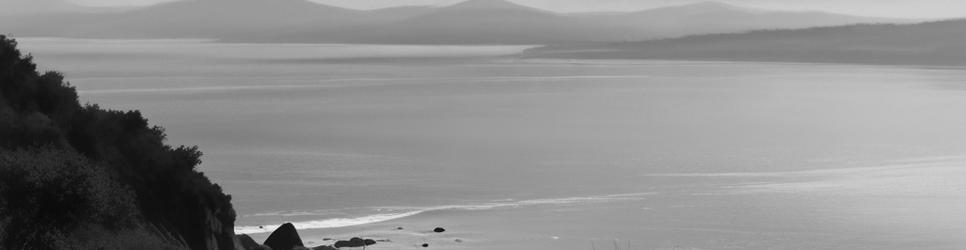 Waitakere beaches - Localista