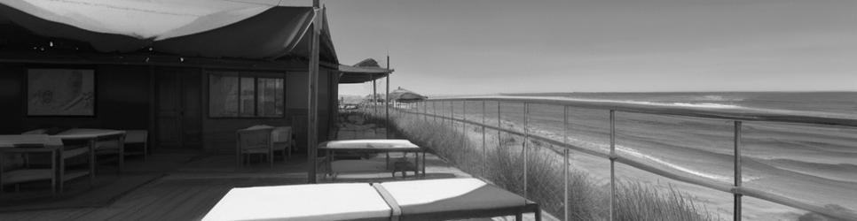 Shark Bay pubs - Localista