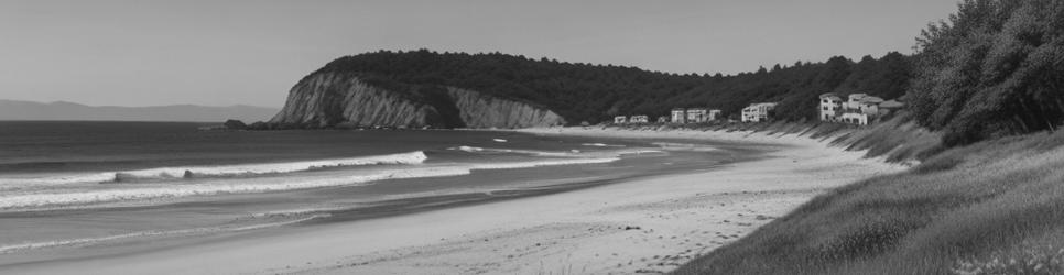 Macmasters Beach tourist attractions - Localista