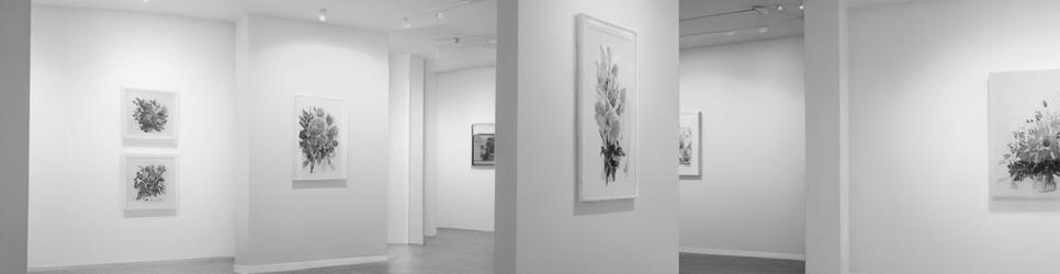 Hamilton art galleries and exhibitions - Localista