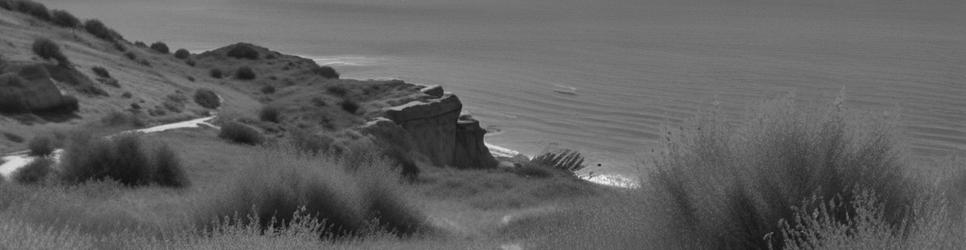 Apollo Bay walking tours - Localista