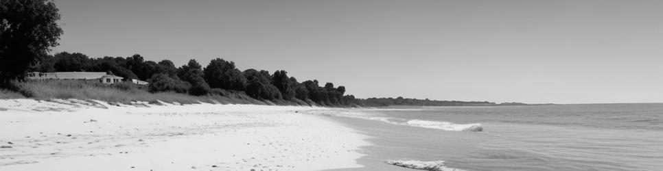 Capel Sound natural attractions - Localista