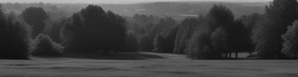 Strathbogie - Localista