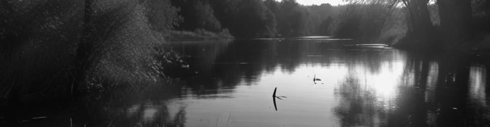 Mid-Western NSW kayaking - Localista