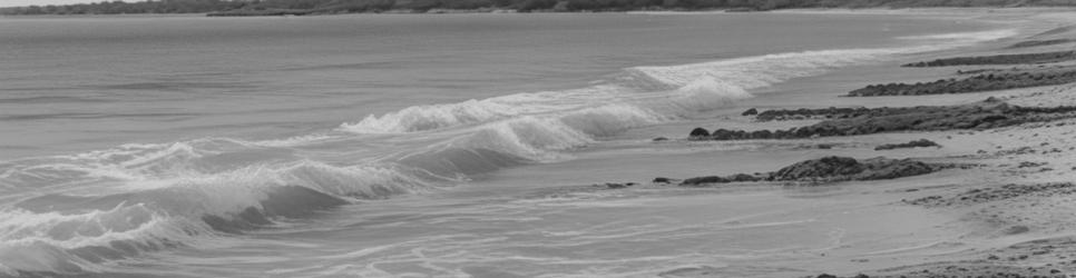 Nambung surfing - Localista