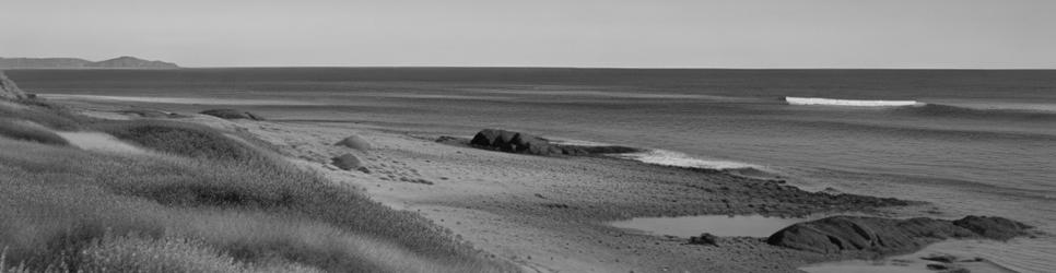 Wedge Island parks - Localista