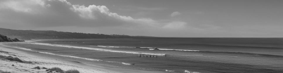 Greenough surfing - Localista