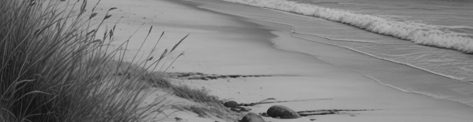 Dirk Hartog Island parks - Localista