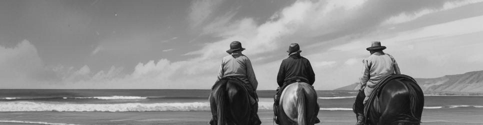 Port Stephens horse riding tours - Localista