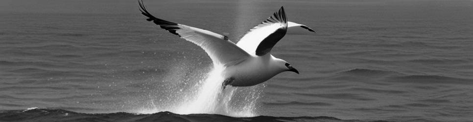 Streaky Bay boat tours - Localista