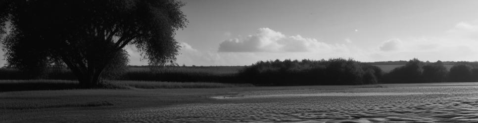 Mallee boat tours - Localista