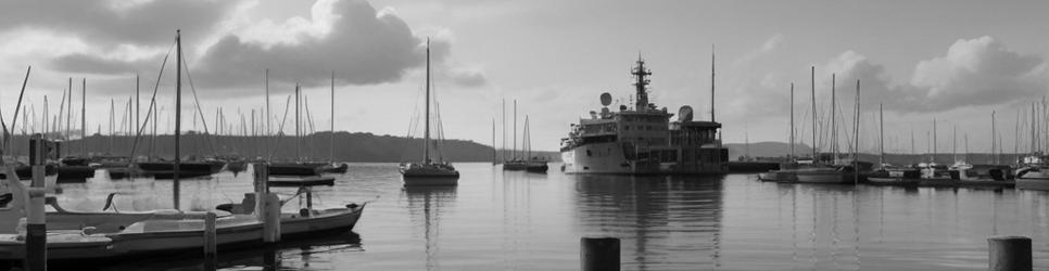 Hobsons Bay fishing tours - Localista