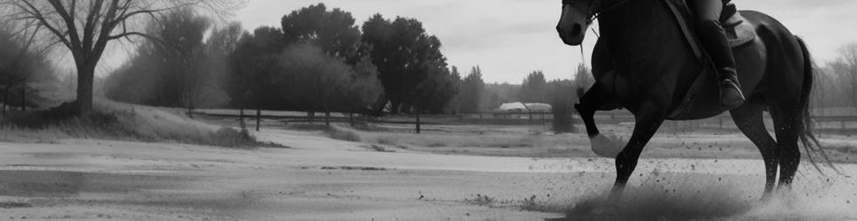 Oaklands Junction horse riding lessons - Localista