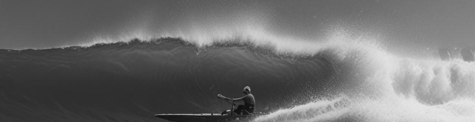 Banks Peninsula paddleboarding tours - Localista