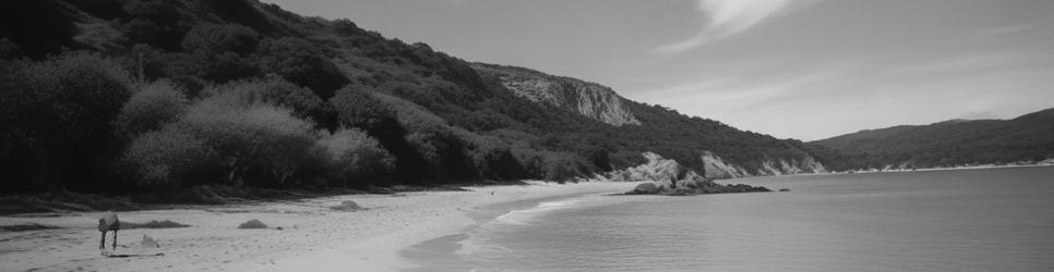 Kaiteriteri sailing tours - Localista