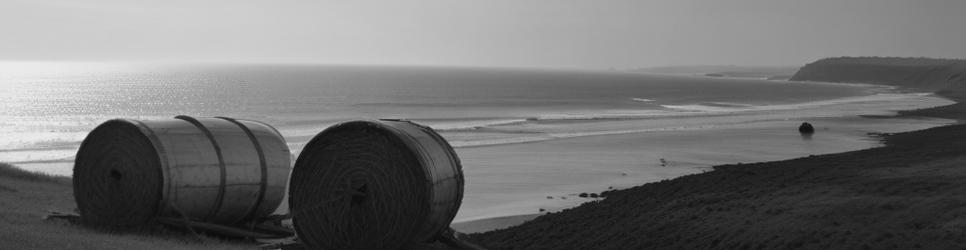 Raglan paddleboarding tours - Localista