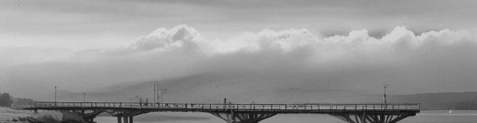 Devonport segway tours - Localista