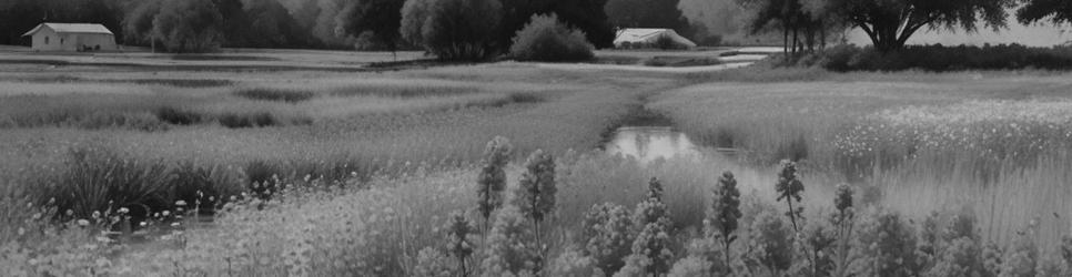 Orakei historical sites - Localista