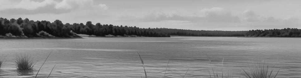 Kaipara Harbour tours - Localista