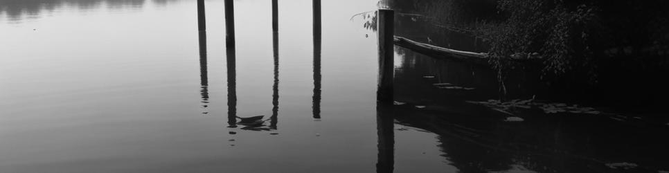 Kaipara Harbour cruises - Localista