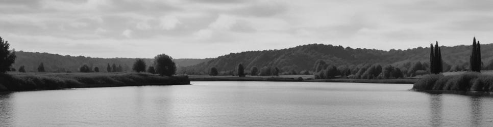 Kaipara Harbour things to do - Localista