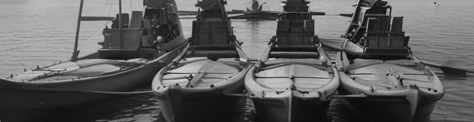 Bay of Plenty kayaking - Localista