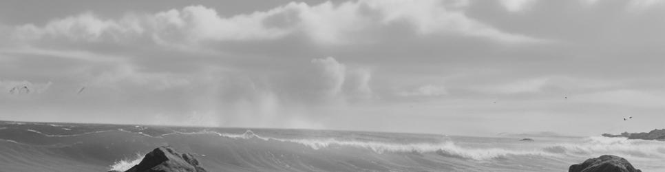 Mount Maunganui surfing - Localista