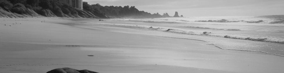 Mangawhai Heads walking tours - Localista