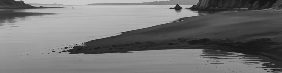 Whangarei Harbour tours - Localista