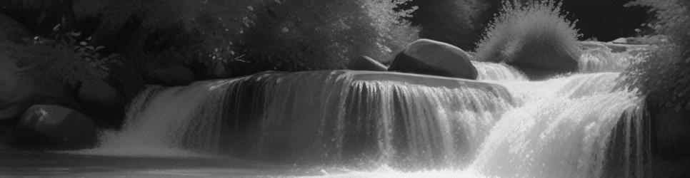 Rotorua canoeing - Localista