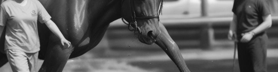 Wollongong farm tours - Localista