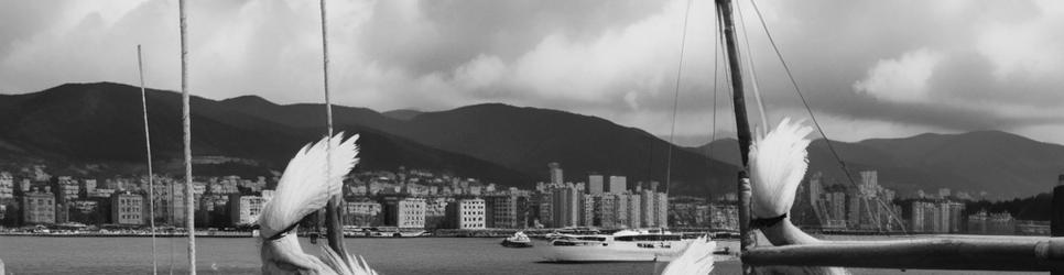 Oriental Bay tours - Localista