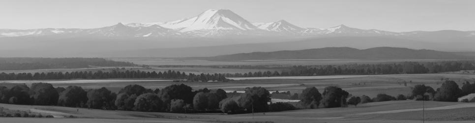 Waitaki historical sites - Localista