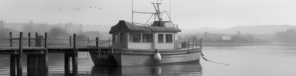 Moeraki fishing - Localista