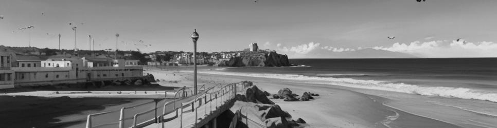 Bondi Beach surfing - Localista