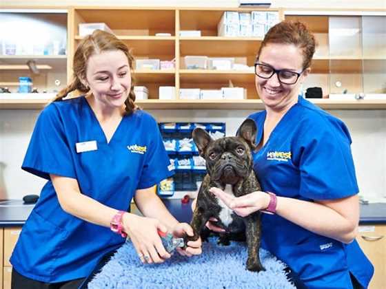 Vetwest Animal Hospitals - Wanneroo