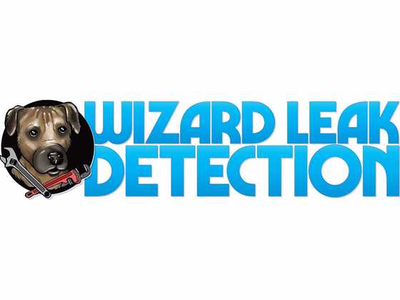 Wizard Leak Detection