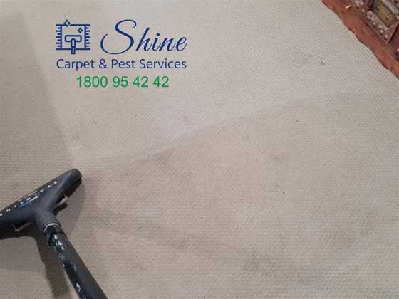 Shine Carpet and Pest Services