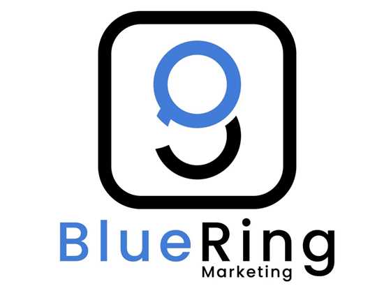 Blue Ring Marketing - ROI SEO Services