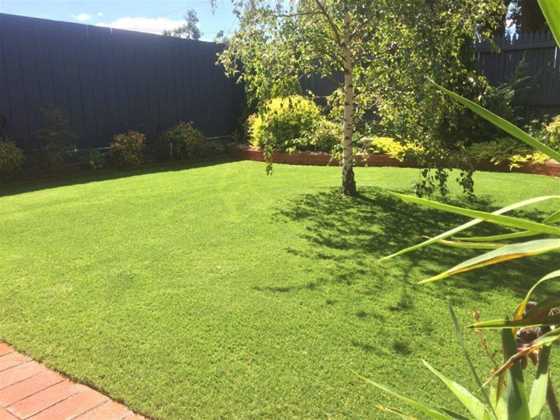 The Synthetic Grass Project