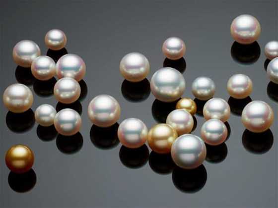 Paspaley Pearls Broome