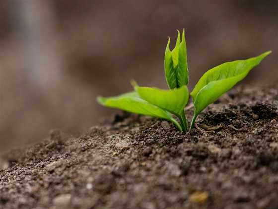 Soil Dynamics - Premium Organic Fertilisers