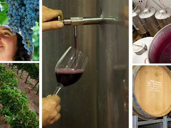 Private Winery Tours