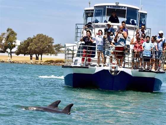 Mandurah Cruises- Dolphin and Scenic Marine Cruise