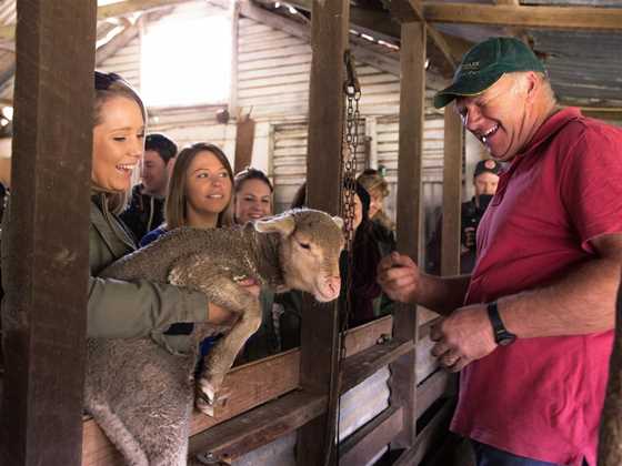 Kangaroo Island Adventure Tours