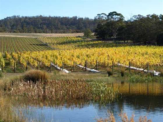 Boutique Wine Tours Tasmania
