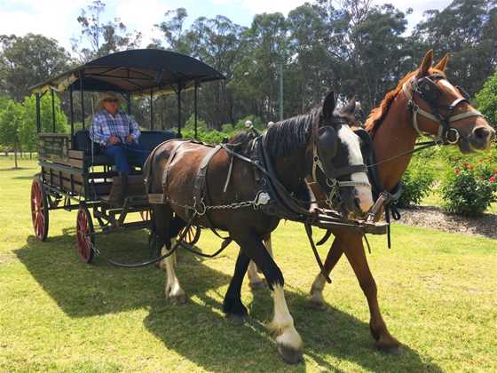 Hunter Valley Horses Carriage Tours